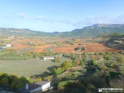 Hayedos Rioja Alavesa-Sierra de Toloño;parajes naturales madrid actividades en la comunidad de madri